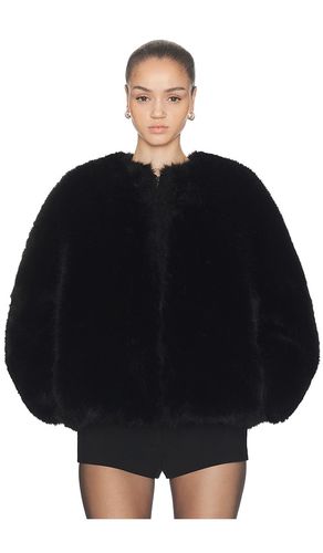 Long Hair Faux Fur Bomber in . Size L. Also in M, XS, XXS - HAELO - Modalova