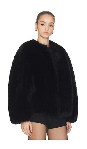 Long Hair Faux Fur Bomber en . Taille M. Also en XXS, L - HAELO - Modalova