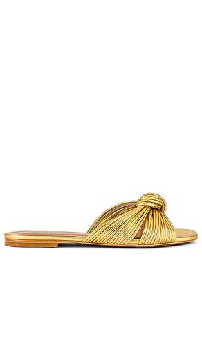 PLAT BILLIE in . Size 5.5, 6, 6.5, 7, 7.5, 8, 8.5, 9 - House of Harlow 1960 - Modalova