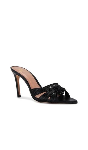 ESCARPINS JOY en . Taille 6. Also en 7.5, 8.5 - House of Harlow 1960 - Modalova