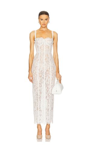 ROBE THE LACE COLUMN en . Taille L. Also en S, XS, XXS - Helsa - Modalova