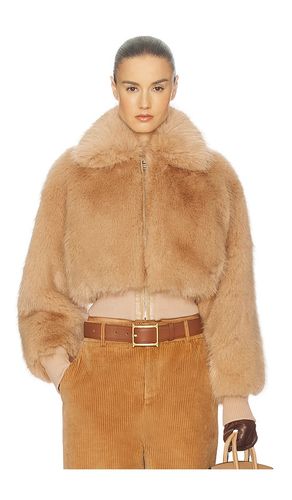 BLOUSON FAUX FOX BOMBER JACKET en . Taille L. Also en M, S, XS - Helsa - Modalova