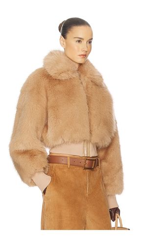 BLOUSON FAUX FOX BOMBER JACKET en . Taille L. Also en M, S, XS - Helsa - Modalova