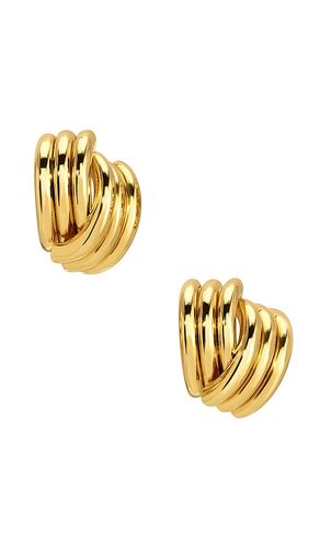 Clove Stud Earrings in - Heaven Mayhem - Modalova