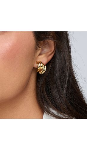 Clove Stud Earrings in - Heaven Mayhem - Modalova