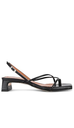 SANDALES FIFI in . Size 37, 39, 41 - INTENTIONALLY BLANK - Modalova