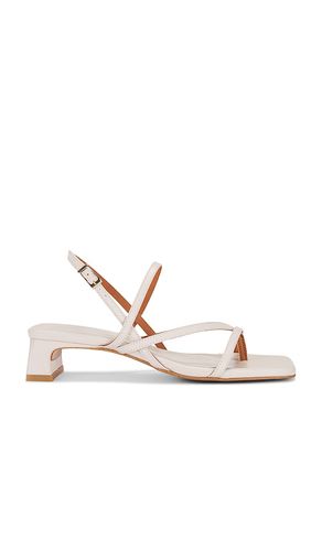 SANDALES PUP in . Size 37, 38, 39, 40, 41 - INTENTIONALLY BLANK - Modalova
