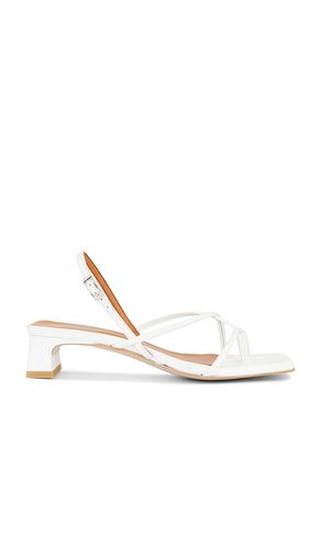 SANDALES FIFI in . Size 37, 38, 39, 40 - INTENTIONALLY BLANK - Modalova