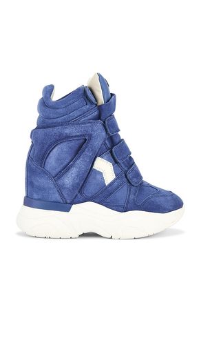 SNEAKERS BALSKEE in . Size 38 - Isabel Marant - Modalova