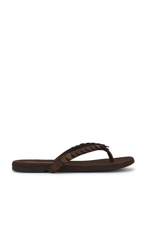 SANDALES MOANA en . Taille 6. Also en 6.5, 7, 7.5, 8, 8.5 - Jeffrey Campbell - Modalova