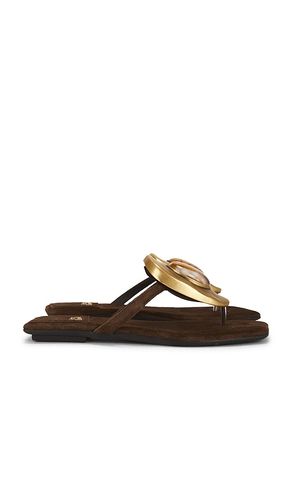 SANDALES BAZAAR FLAT en . Taille 7.5. Also en 8, 8.5 - Jeffrey Campbell - Modalova