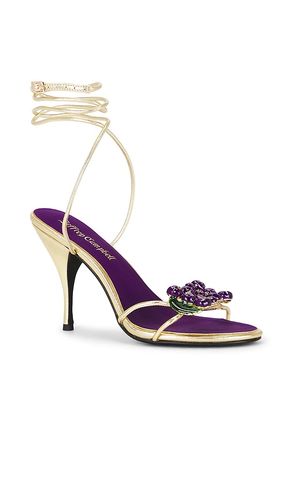 SANDALES KLEO en . Taille 10. Also en 7 - Jeffrey Campbell - Modalova