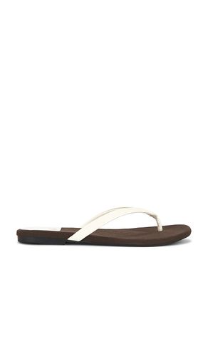SANDALES KIERRA en ,. Taille 6.5. Also en 7, 7.5, 8, 8.5, 9, 9.5, 10 - Jeffrey Campbell - Modalova