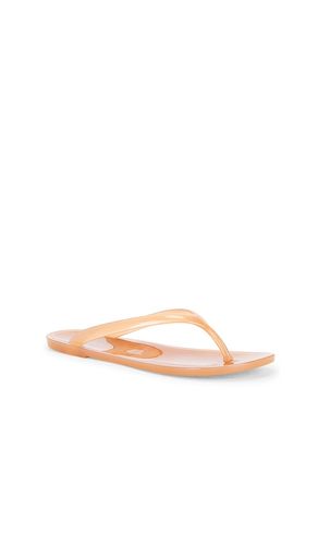 TONGS BEACH DAY en . Taille 8. Also en - Jeffrey Campbell - Modalova