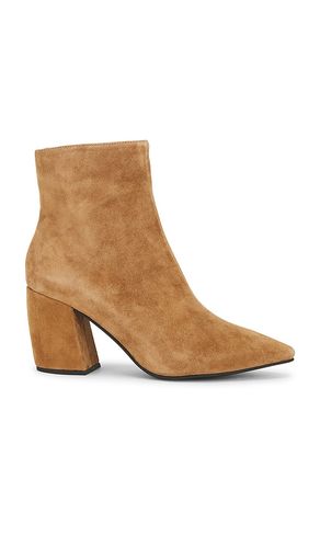 BOTTINES BOTITA en . Taille 10. Also en 6.5, 7, 7.5, 8, 9 - Jeffrey Campbell - Modalova