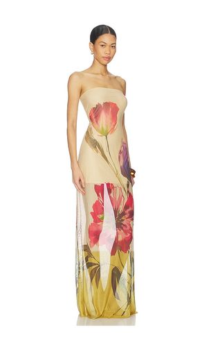 ROBE OFIRA en ,. Taille M. Also en XS - JBQ - Modalova