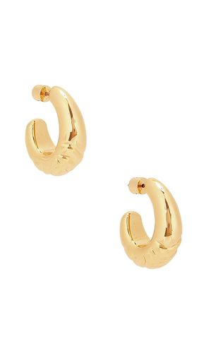 Slim Nelle Hoops in - Jenny Bird - Modalova