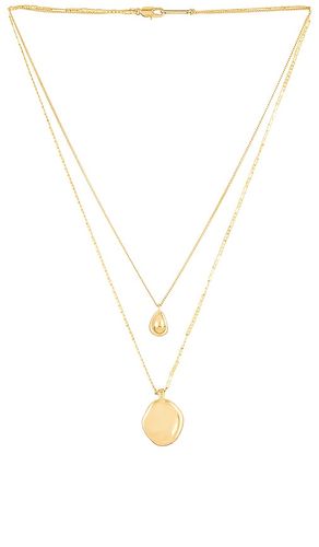 Mithras Necklace in - Jenny Bird - Modalova