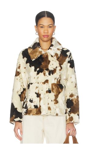 BLOUSON TRACI en ,. Taille XS. Also en - Jakke - Modalova