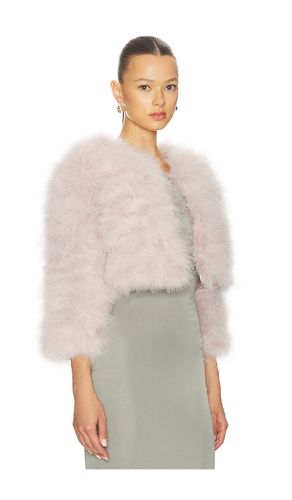BOLÉRO FIFI en . Taille S. Also en L, XL - jocelyn - Modalova