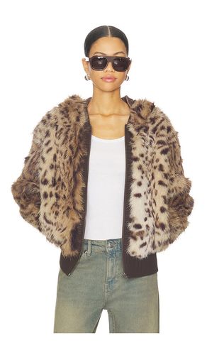 BLOUSON BEAR en . Taille M. Also en S - Jaded London - Modalova