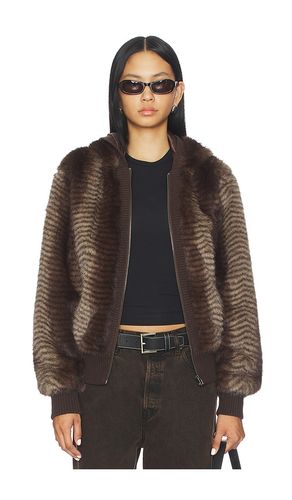BLOUSON BEAR en . Taille M. Also en S - Jaded London - Modalova