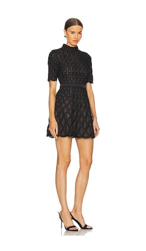 ROBE COURTE CINTRÉE COSTINA en . Taille 4. Also en - SIMKHAI - Modalova