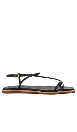 SANDALES ALAYTA SQUARE-TOE STRAPPY in . Size 9 - Kaanas - Modalova