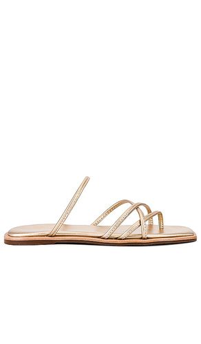 NU-PIED KAPOK SQUARE-TOE STRAPPY in . Size 11, 5, 6, 7 - Kaanas - Modalova