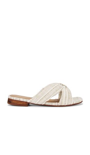 SANDALES PACIFICO in . Size 11, 5, 6 - Kaanas - Modalova