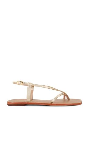 SANDALES CRISTOBAL in . Size 11, 5, 9 - Kaanas - Modalova