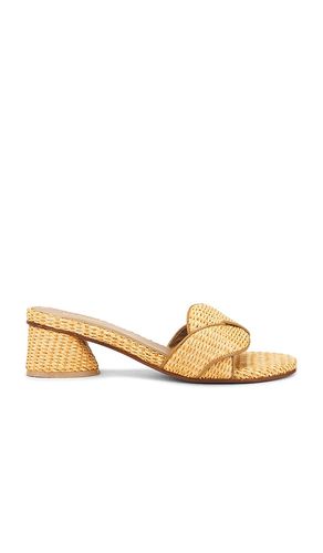 SANDALES SIERRA in . Size 6, 7, 8, 9 - Kaanas - Modalova