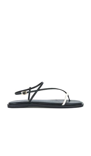 Alayta Square Toe Sandal in . Size 11, 6, 7, 8, 9 - Kaanas - Modalova