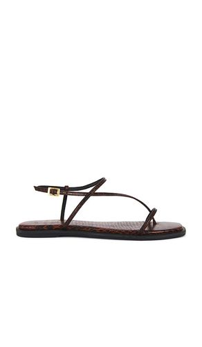 Alayta Square Toe Sandal in . Size 11, 6, 7, 8, 9 - Kaanas - Modalova
