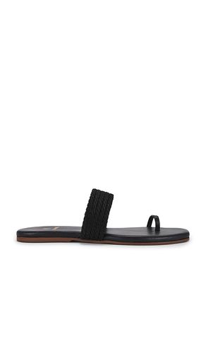 SANDALES BANDERAS in . Size 11, 5 - Kaanas - Modalova