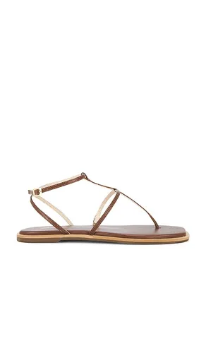 Aisha Strappy Gladiator Sandal en . Taille 11. Also en 7, 9 - Kaanas - Modalova