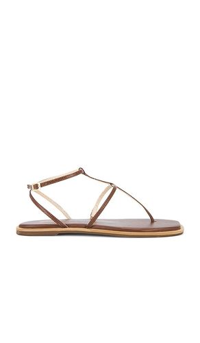 Aisha Strappy Gladiator Sandal in . Size 11, 6, 7, 8, 9 - Kaanas - Modalova