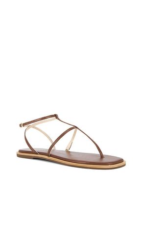 Aisha Strappy Gladiator Sandal en . Taille 11. Also en 7, 8, 9 - Kaanas - Modalova