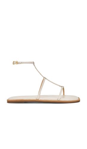 Nerea Strappy Gladiator Sandal in . Size 11, 6, 7, 8, 9 - Kaanas - Modalova
