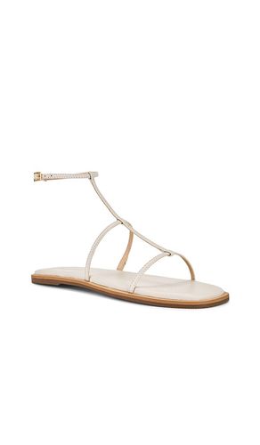 Nerea Strappy Gladiator Sandal en . Taille 11. Also en 7 - Kaanas - Modalova