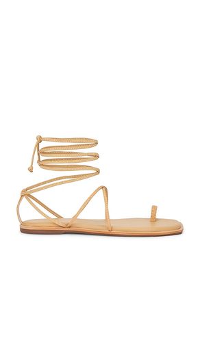 Lavi Strappy Toe Ring Sandal in . Size 11, 6, 7, 8, 9 - Kaanas - Modalova