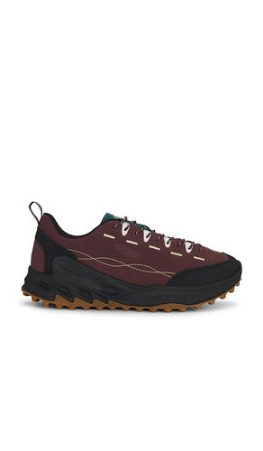 SNEAKERS JASPER en . Taille 10. Also en 10.5, 11, 12, 13, 8, 8.5, 9, 9.5 - KEEN - Modalova
