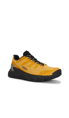 SNEAKERS TARGHEE en . Taille 10. Also en 10.5, 11, 12, 13, 8, 8.5, 9, 9.5 - KEEN - Modalova