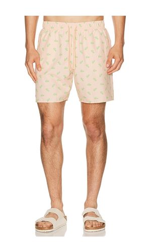 SHORT DE BAIN en . Taille S. Also en XL/1X - Lacoste - Modalova