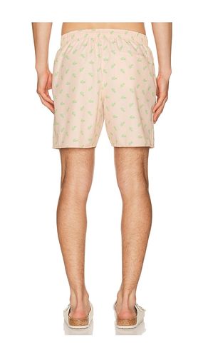 SHORT DE BAIN en . Taille S. Also en XL/1X - Lacoste - Modalova