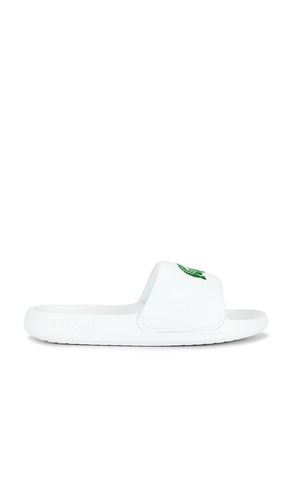 Serve Slide en . Taille 10. Also en 11, 7, 8, 9 - Lacoste - Modalova