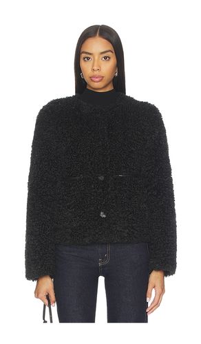 BLOUSON EMILIA en . Taille M. Also en S - LAMARQUE - Modalova