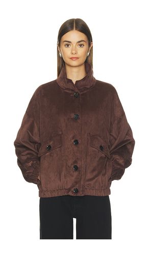 BLOUSON FIDELINA en . Taille S. Also en XS, M, L, XL - LAMARQUE - Modalova