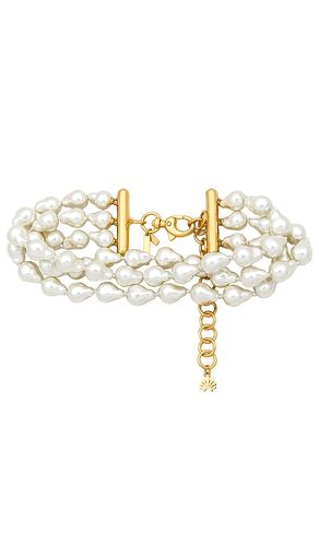 Jackie Pearl Triple Row Choker in - Lele Sadoughi - Modalova