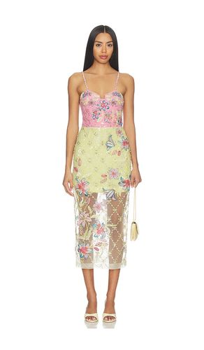 ROBE DRESS en ,. Taille L. Also en M, XL, XS - LA FUORI - Modalova